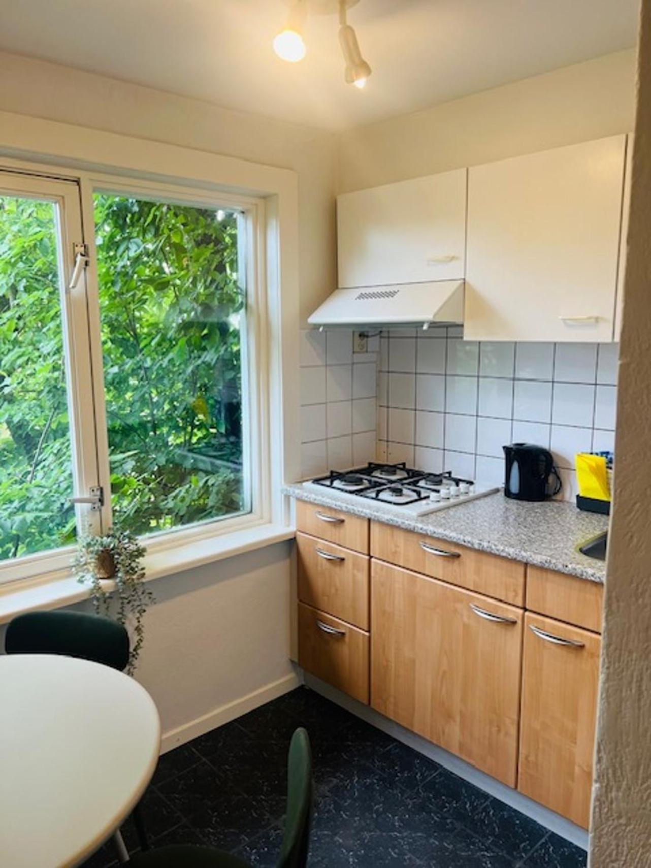 4P Apt With Rooftop Terrace At Piushaven Centrum ティルブルグ エクステリア 写真